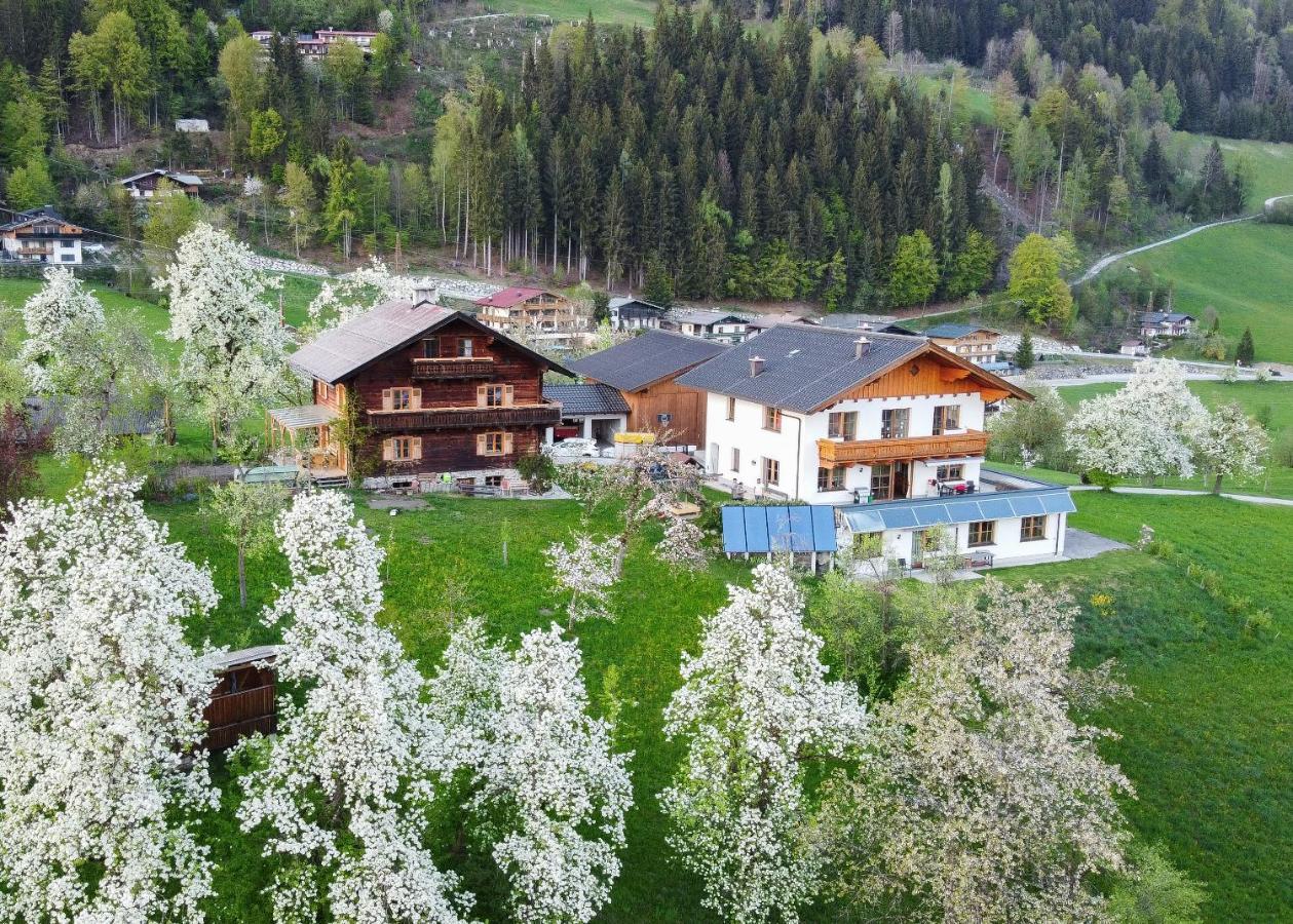 Ferienhaus Bognerhof Санкт Файт им Понгау Екстериор снимка